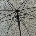 Armação Guarda-chuva